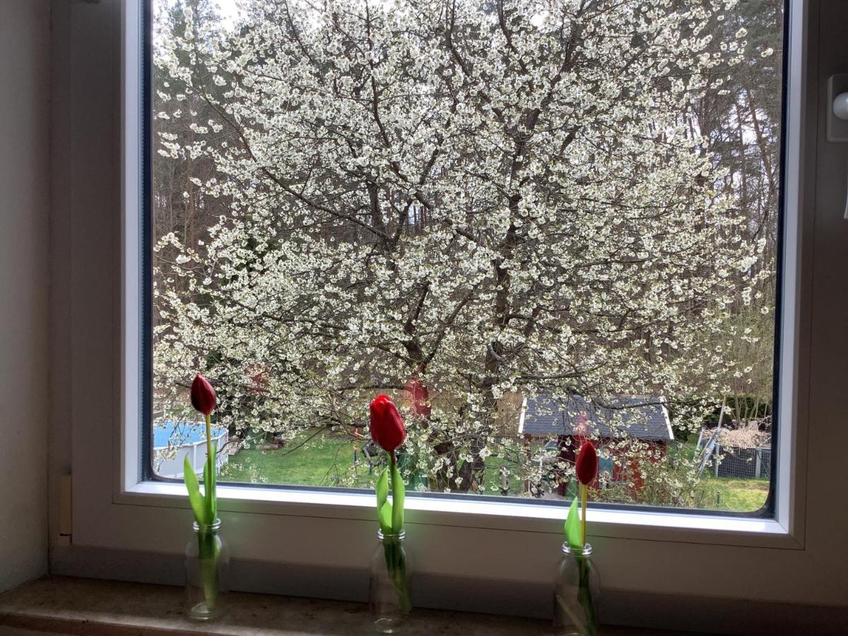Ferienwohnung Schwarzachhoehe Nur Fuer Erwachsene Wendelstein Bagian luar foto